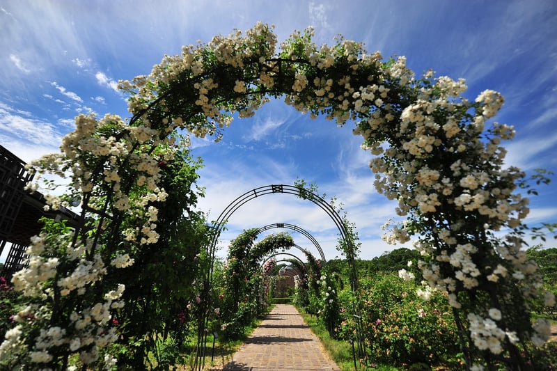Floral Archway